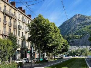 Grenoble - Cours Jean Jaurès